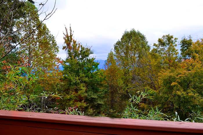 Lover'S Loft Gatlinburg Buitenkant foto